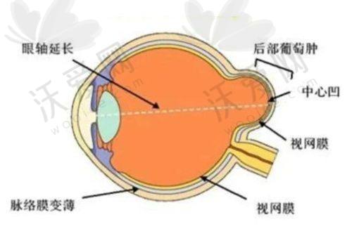 西安市第四 医院眼科交通指南&便民服务