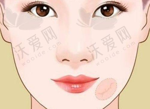 哈尔滨羽禅医美的医生团队实力