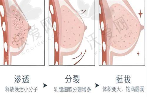 深圳非凡医疗美容医院林茂辉医生挂号预约攻略