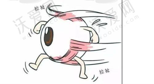 深圳普瑞眼科还有哪些其他相关项目及价格？