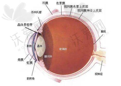 上海和平眼科医院收费的透明性