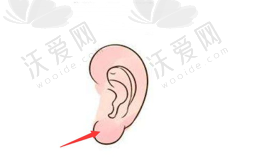 从医风格