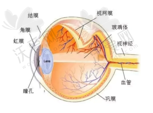 合肥普瑞眼科在晶体植入近视手术（非散光）方面有什么优势？