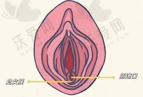 北京八大处和成都八大处特色项目/热门项目