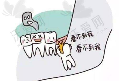 牙博士种植牙其他相关问题