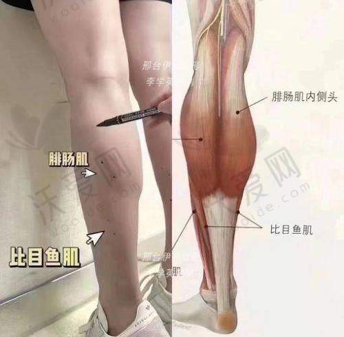总结——北京樱桃医疗美容诊所金尚训医生怎么样？