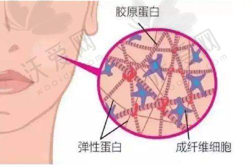 上海欧莱美医疗美容医院张洪波医生口碑评价如何？