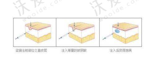 芜湖壹加壹医疗美容门诊部地址