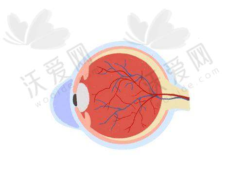 河南南阳尖峰眼科医院邵鸿展医生挂号预约攻略
