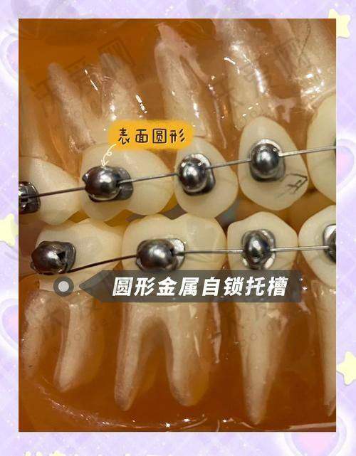 湛江柏乐口腔是正规医院吗？