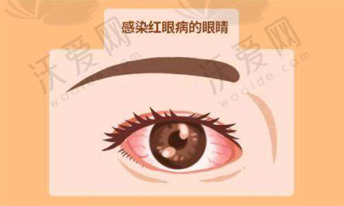 上海光正新视界瞳亮眼科医院地址