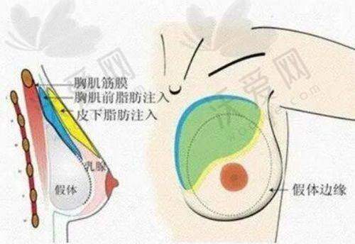 邯郸伊星兰积医疗美容门诊部收费标准参考