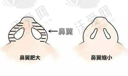 哈尔滨超龙医疗美容医院电话号码
