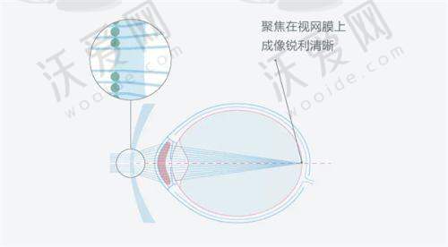 学术活动参与