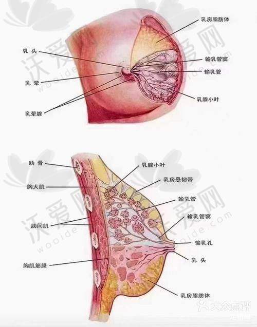 武汉真爱妇产私密修复医院实力如何？