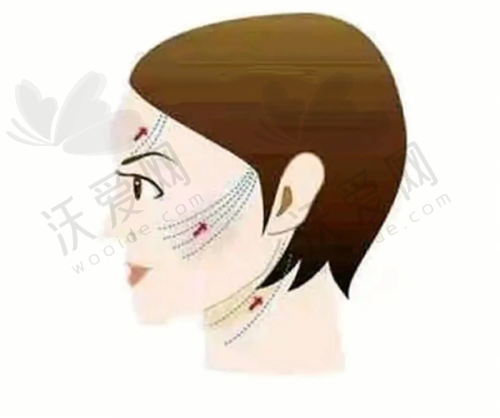 学术著作