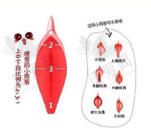 北京私密整形选北京嘉禾医院不错！正规医院技术好价格优案例效果超棒