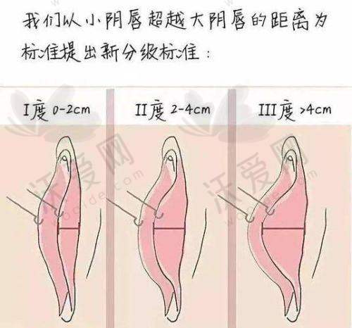 北京嘉禾侯智慧坐诊信息：便捷预约开启美丽之旅