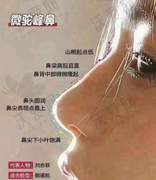 北京美莱医疗美容医院牛永敢医生从医荣誉