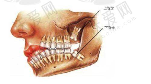 南通美奥口腔医院其他口腔项目收费参考