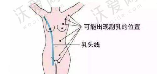 沈阳杏林整形外科医院2025价格表来袭，眼鼻胸等多项目整形消费参考全揭秘