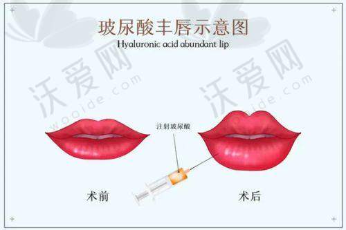 教育背景与从业经历