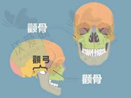 2025大连爱德丽格整形价格表更新之胸部整形项目
