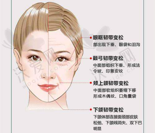 大理伊美东方丽人整形价格表