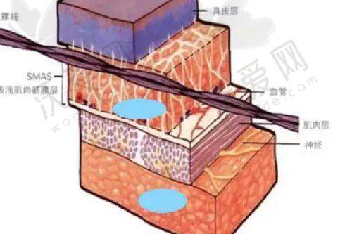 北京纯脂医疗美容门诊部王自谦医生从医荣誉