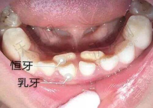 厦门思明脸博士整形外科门诊部口碑如何？