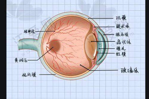 邢台爱尔眼科医院全飞秒近视手术适合哪些人群?